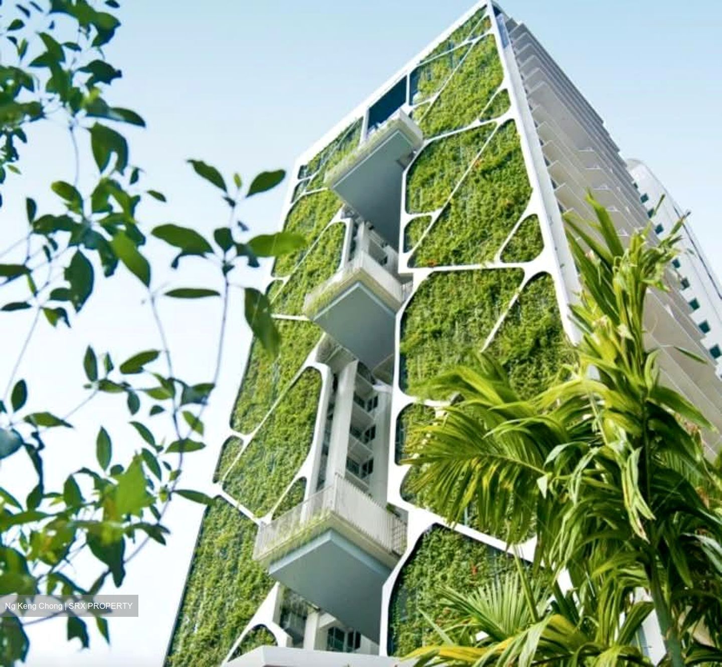 Tree House (D23), Condominium #564019561